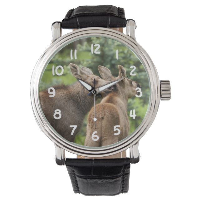 Montre Calves d'orignal (devant)