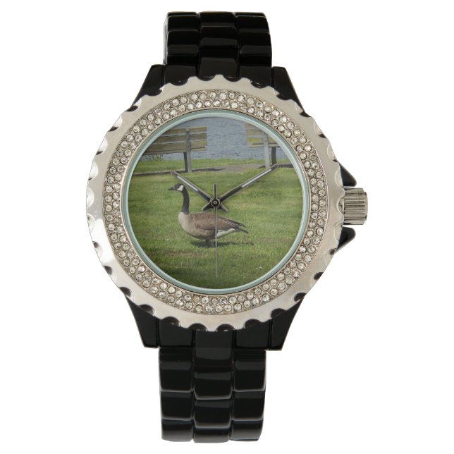 Montre Canada Goose (devant)