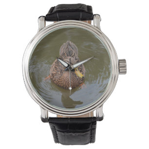 Montre canard à colle femelle face devant