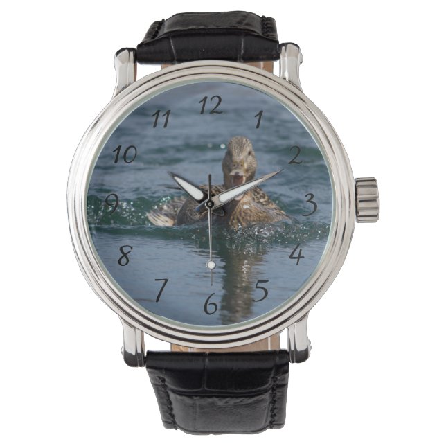Montre Canard avec bec ouvert             (devant)