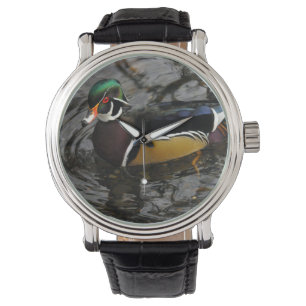 Montre Canard branchu mâle à Crystal Springs Rhododendron