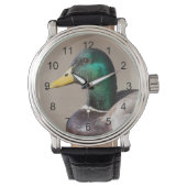Montre Canard colvert (devant)