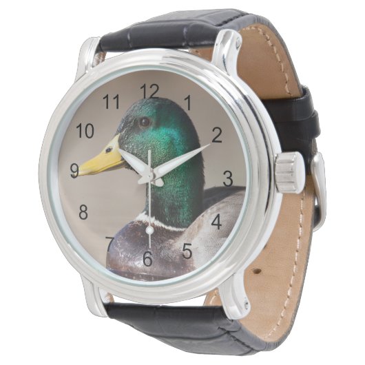 Montre Canard colvert (Incliné)