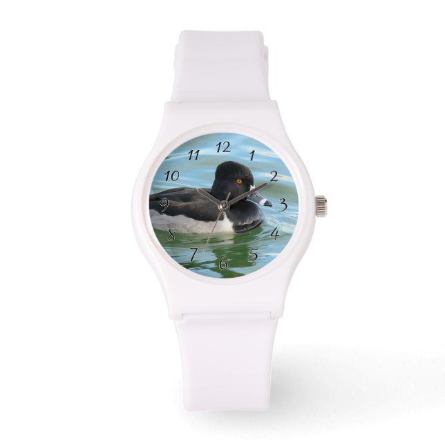 Montre Canard de plongée à col noir Ringbill (Recto)