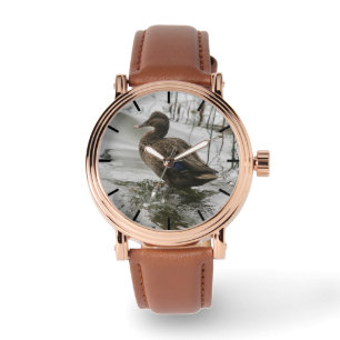 Montre Canard gris sur le lac sombre