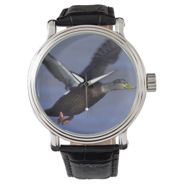 Montre Canard noir (devant)