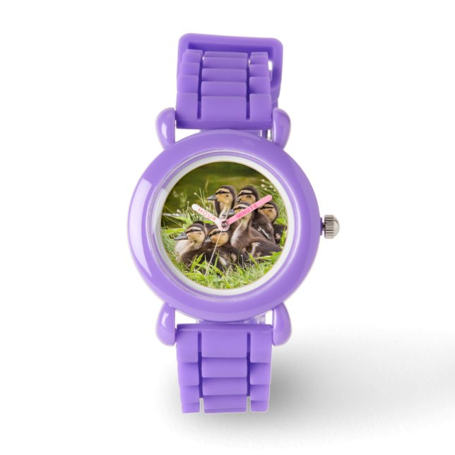 Montre Canetons (Recto)