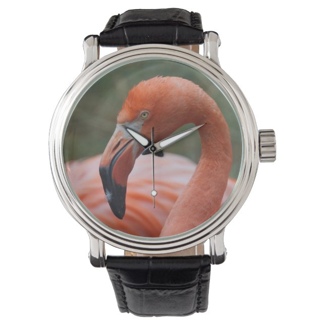Montre Caoutchouc de phoenicopterus (devant)