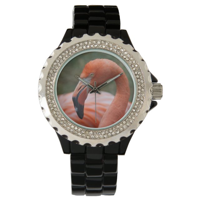 Montre Caoutchouc de phoenicopterus (devant)