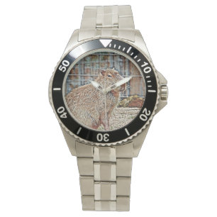 Montre Capybara