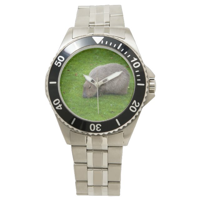 Montre Capybara Animal Incroyable (devant)