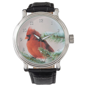 Montre Cardinal dans l'arbre de sapin épousseté par nei