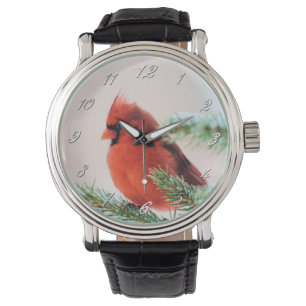 Montre Cardinal dans le sapin à neige