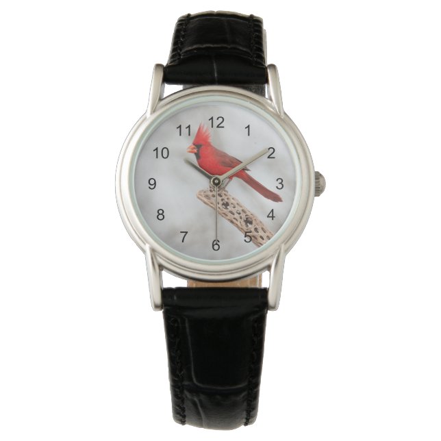 Montre Cardinal du Nord sur une branche (devant)