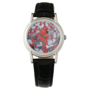 Montre Cardinal rouge mâle, Hiver, IL
