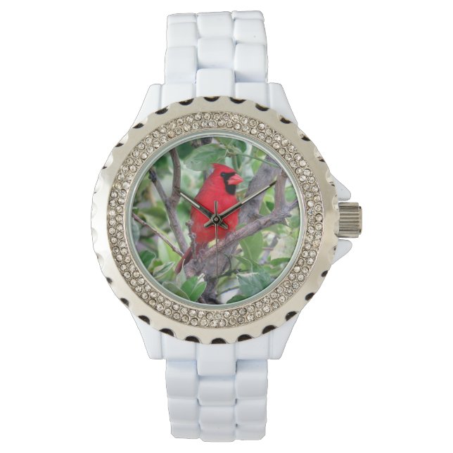 Montre Cardinal Watch - De nombreux styles à choisir de (devant)