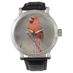Montre cardinale