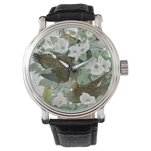 Montre Carolina Pigeon Audubon Morning Dove (devant)