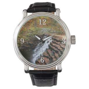 Montre Cascade du parc d'état Laurel Hill State Park II