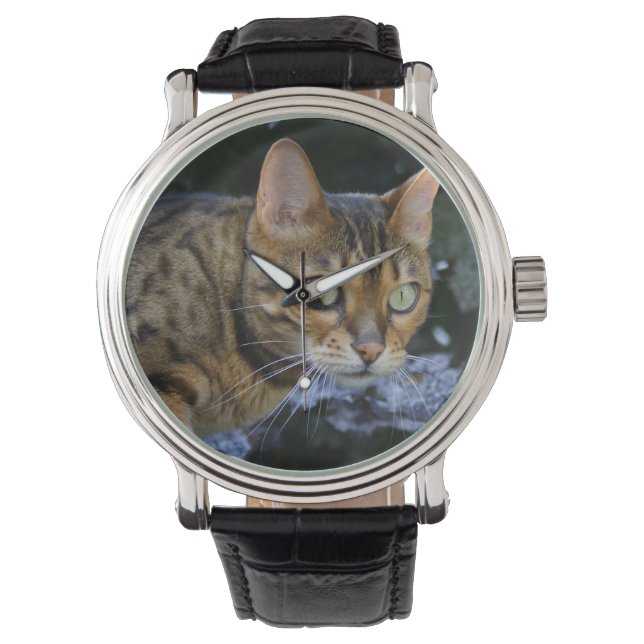 Montre Cat du Bengale (devant)