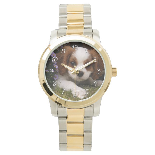 Montre Cavalier King Charles Spaniel (devant)