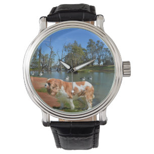 Montre Cavalier Spaniel Et Pélicans,