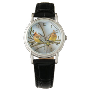 Montre Cèdre - Photographie originale
