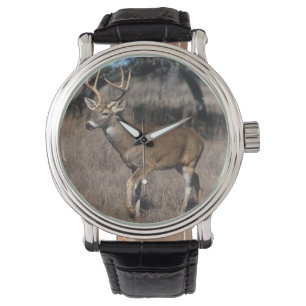 Montre Cerf à queue blanche