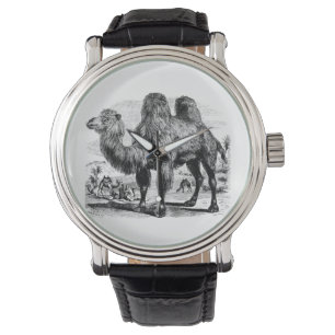 Montre Chameau vintage de 1800s - modèle égyptien de