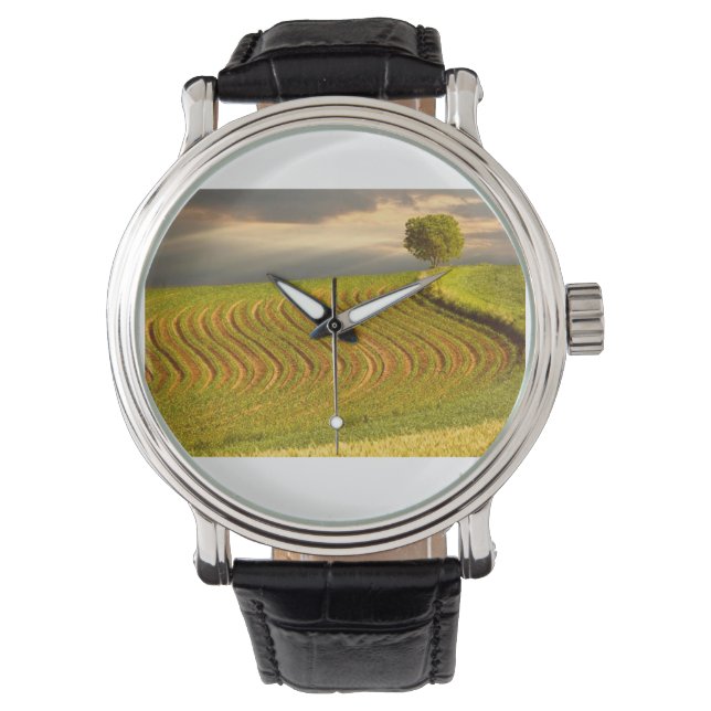 Montre Champ vert 11 (devant)