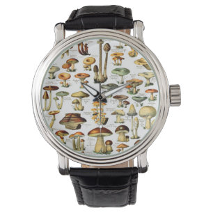 MONTRE CHAMPIONNATS 4