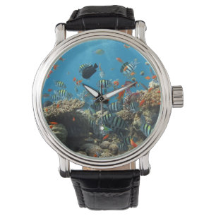 Montre Chaos de la pêche tropicale