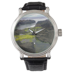 Montre Chasme de Cook, Cape Perpetua, OU