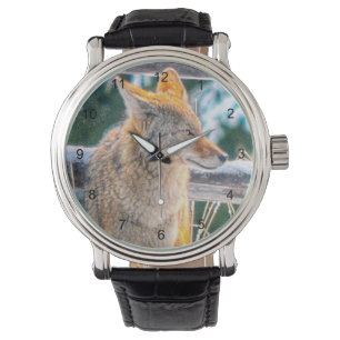 Montre Chasse au coyote et observation de la faune hivern