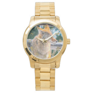 Montre Chasse au coyote et observation de la faune hivern