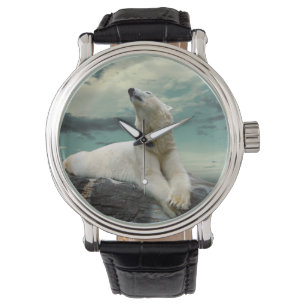 Montre Chasseur blanc d'ours blanc sur la roche