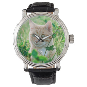 Montre Chat dans la nature