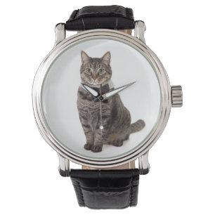 Montre Chat dans le smoking