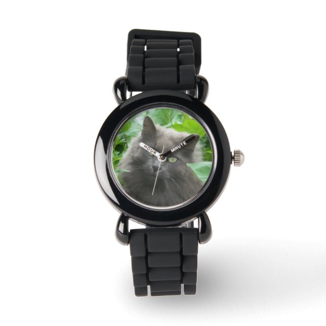 Montre Chat Gris Long Haired (Recto)