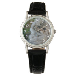 Montre Chat velu
