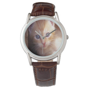 Montre Chats