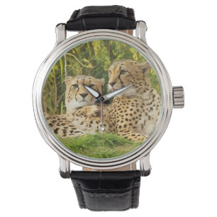Montre Cheetah Companions - Repos dans la nature