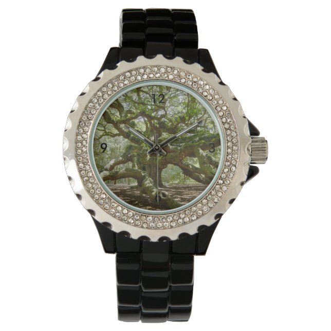 Montre Chêne d'ange puissant (devant)