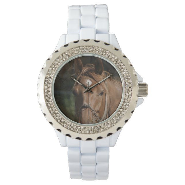 Montre Cheval (devant)