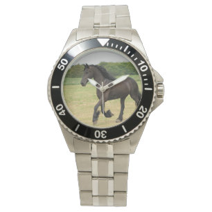 Montre Cheval frison magnifique