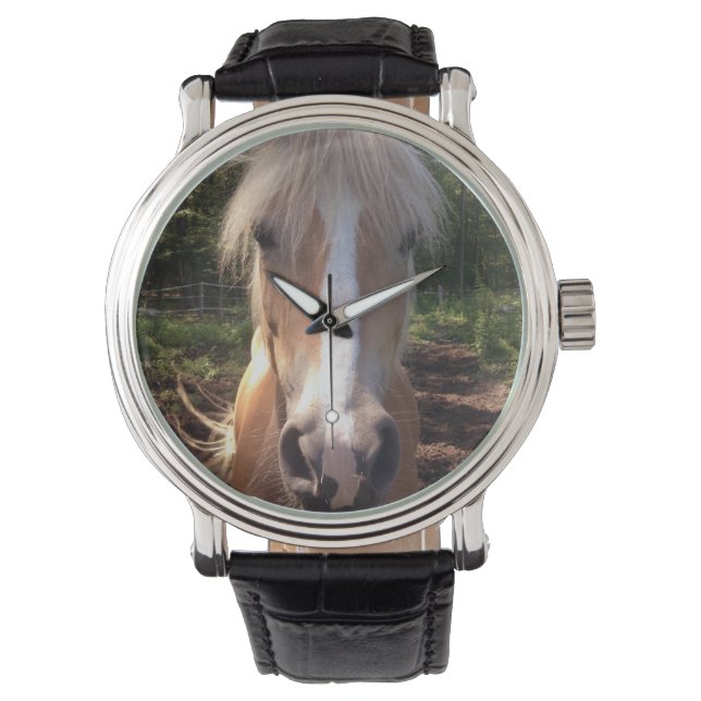 Montre Cheval Haflinger (devant)