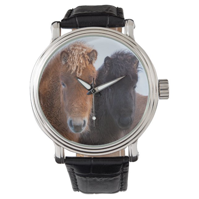 Montre Cheval islandais en hiver en Islande (devant)