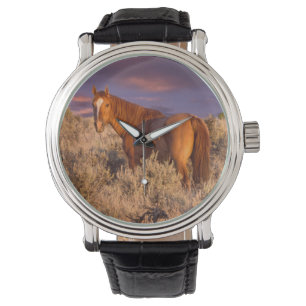 Montre Cheval sauvage du comté de Harney se tient alerte