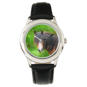 MONTRE CHEVAUX