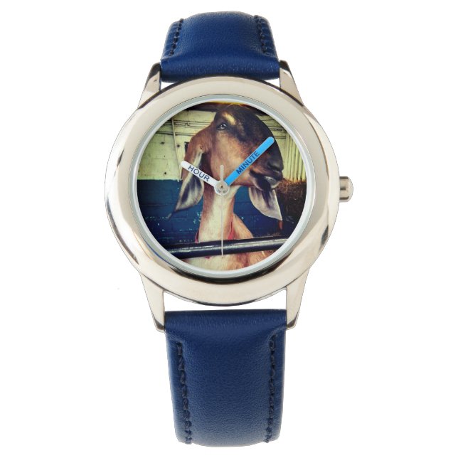 Montre Chèvre (devant)